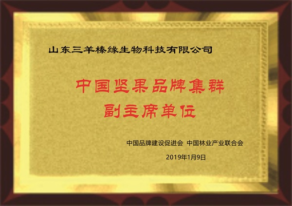 中国坚果品牌集群副会长单位