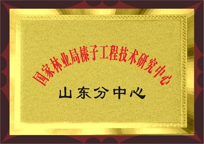 山东分中心